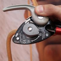 Petzl GriGri Plus